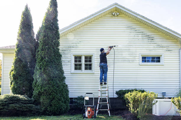 Reliable Jamestown, KY Pressure washing Solutions